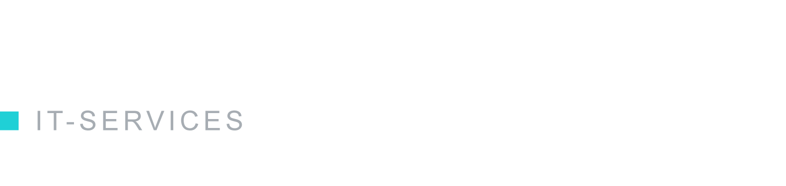 Michael Neumann IT-Services